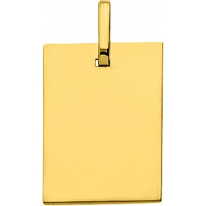 Colgante placa 9Kt Oro Amarillo 0MU7 Lua blanca