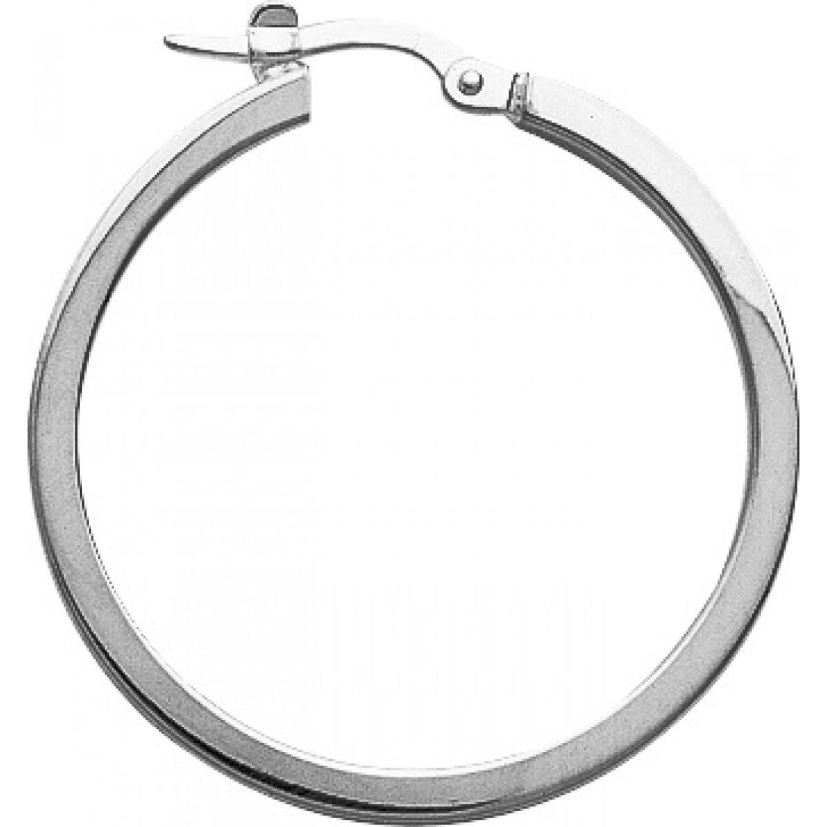 Hoops earrings pair rh925 Silver  Lua Blanca  305322.0